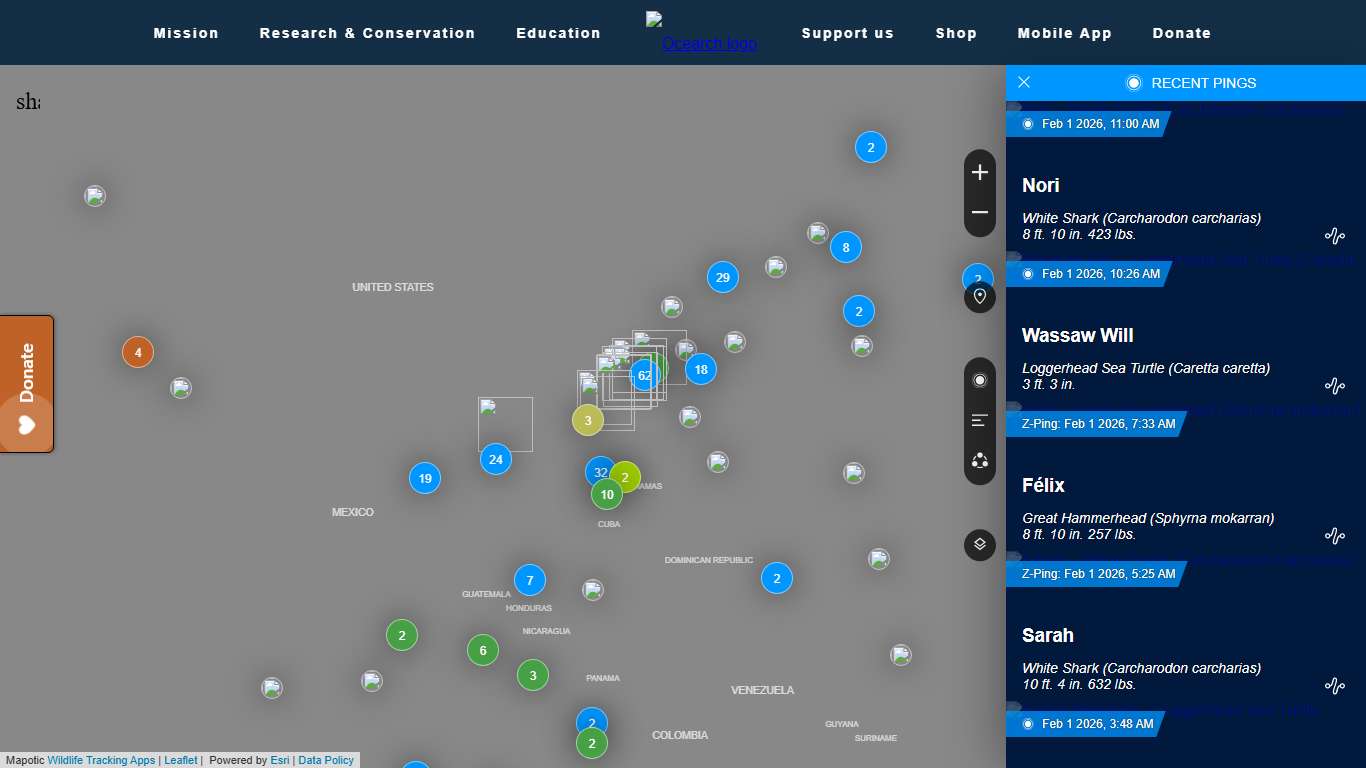OCEARCH Shark Tracker